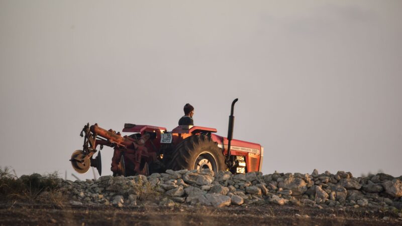 Jaunieji žemdirbiai ieško savos nišos: kaip mažesni ūkiai prisitaiko prie kainų spaudimo ir klimato rizikų