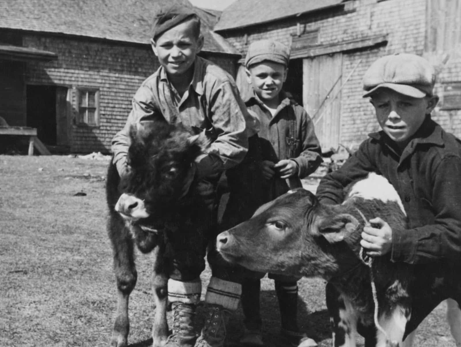 Children visiting farm animals barn farmer hosting farm