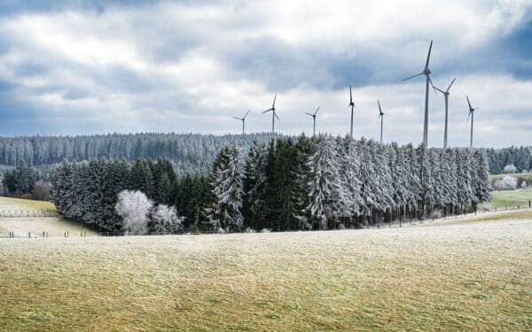 Lietuvos vėjo elektrinių projektų plėtra sausumoje: kodėl leidimų maratonas stringa ir ką tai reiškia kainoms