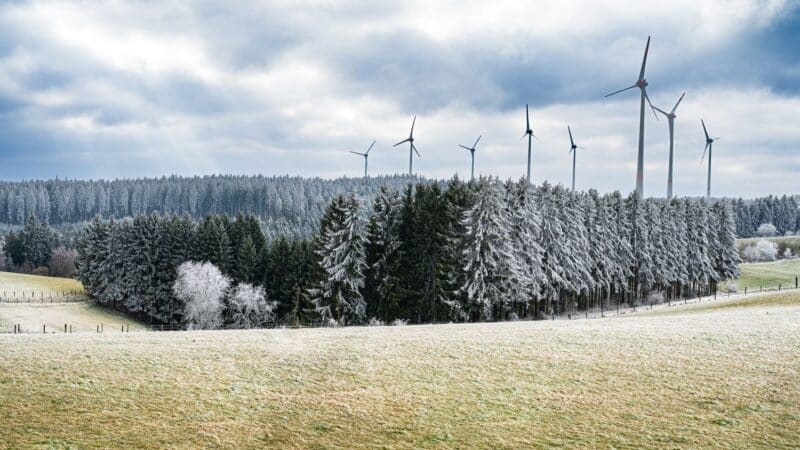 Lietuvos vėjo elektrinių projektų plėtra sausumoje: kodėl leidimų maratonas stringa ir ką tai reiškia kainoms