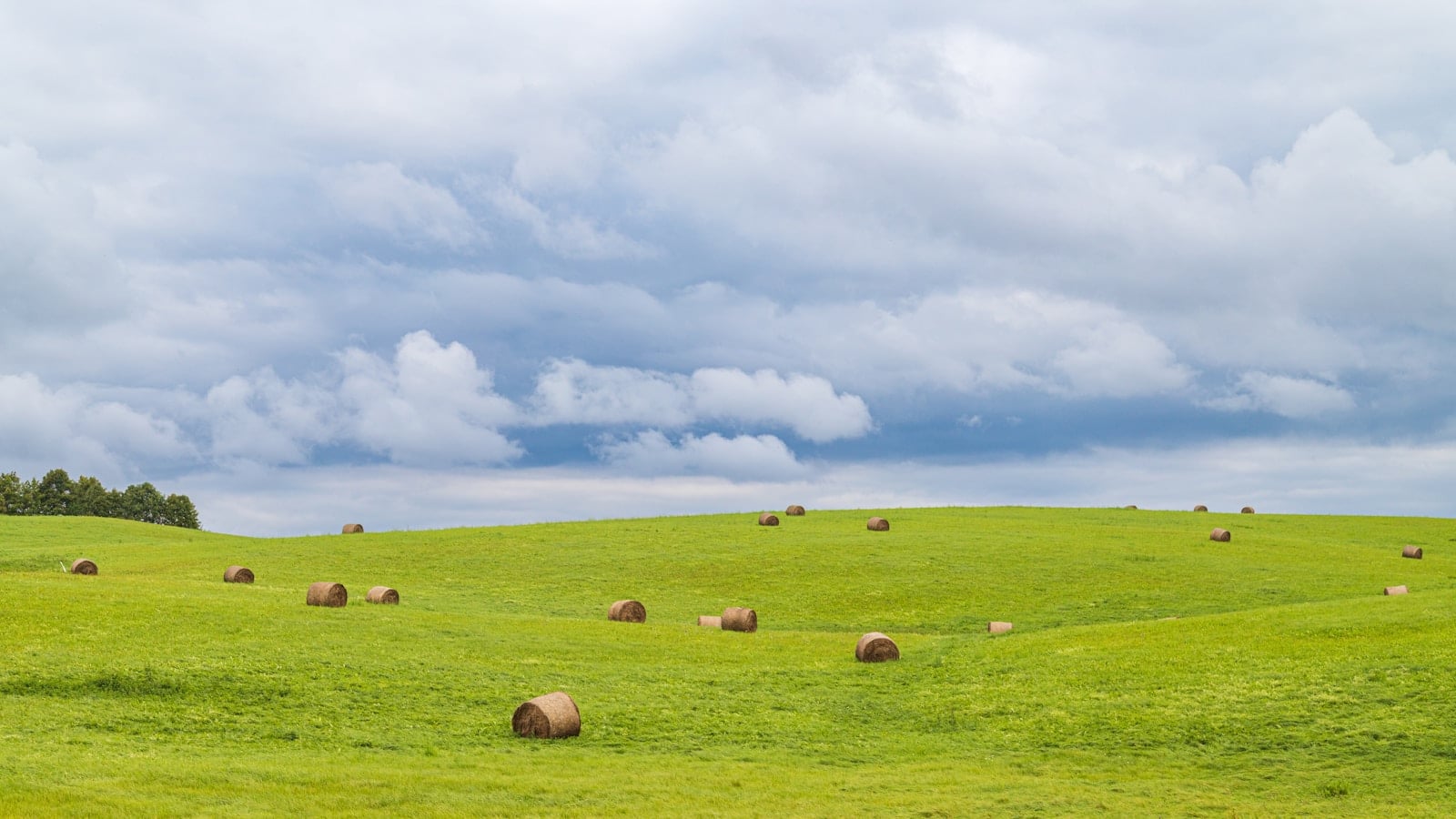 Lietuvos žemės ūkis klimato kaitos kryžkelėje: kaip kinta pasėliai, rizikos ir ūkio sprendimai regionuose