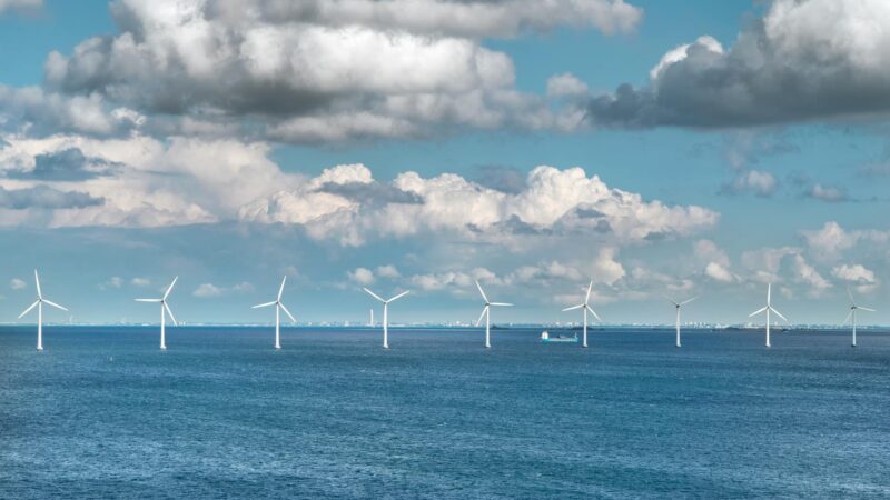 Vėjo jėgainių parkai persitvarko: kaip pasikeitusios rinkos sąlygos verčia energetikos įmones ieškoti naujų pajamų
