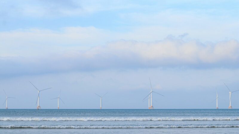 Vėjo parkų plėtra prie kranto: kaip nauji projektai keičia energetikos įmonių planus ir kainų perspektyvą