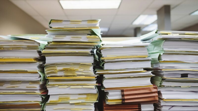 Viešieji finansai sulėtėjus ekonomikai: kaip valstybės išlaidos ir pajamos atsiliepia kiekvieno gyventojo pinigams