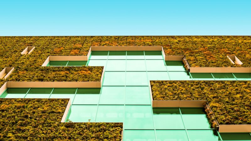 Žaliųjų stogų ir fasadų plėtra Lietuvoje: kaip jie keičia pastatų vertę, energijos sąnaudas ir miestų klimatą