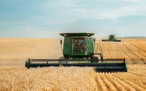 Ekologinių javų ūkiai po spaudimu: kaip išlikti rinkoje, kai pirkėjai taupo, o reikalavimai griežtėja