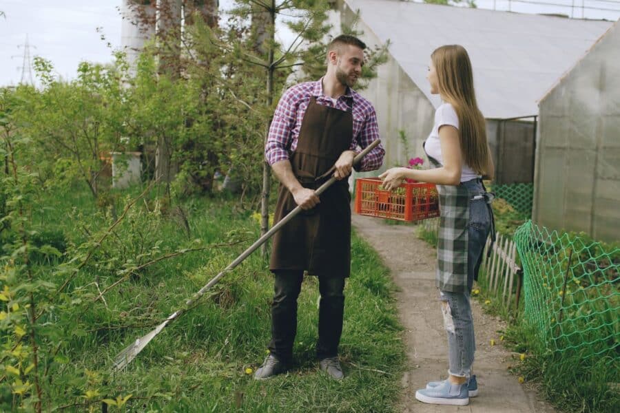 Pagrindinė iliustracija