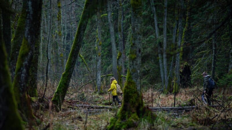 Karinio šaukimo pertvarka Lietuvoje: kaip nauji sprendimai galėtų pakeisti jaunimo tarnybą