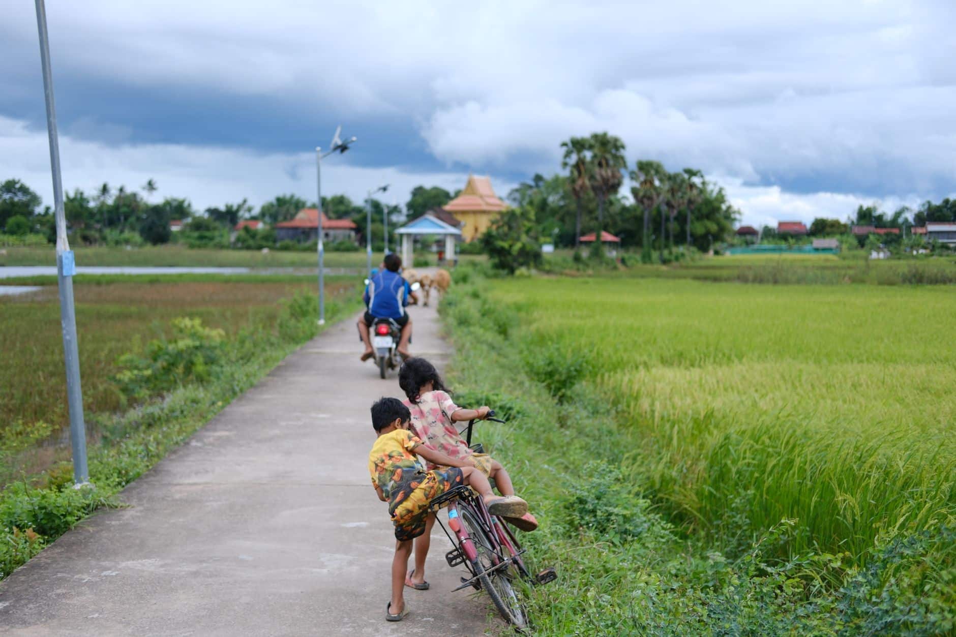 Lietuviškas savaitgalis dviračiu: kaip suplanuoti maršrutą, išvengti streso ir kelionę paversti tikru poilsiu