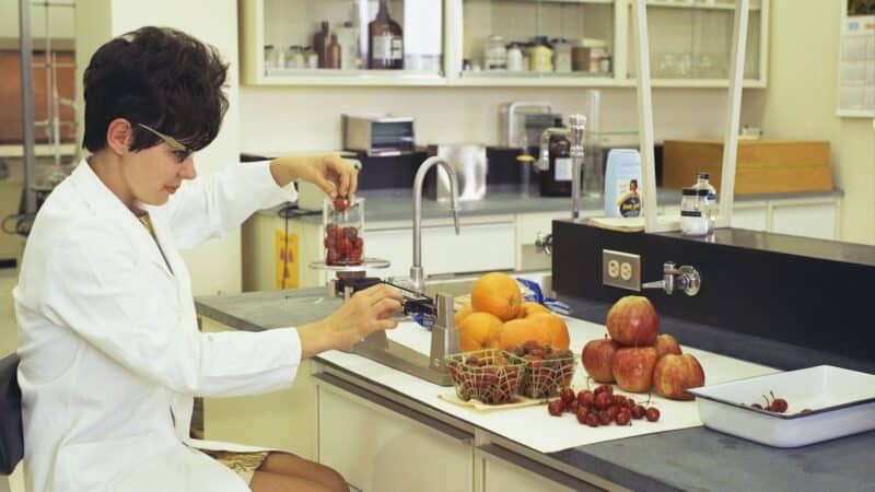 Lietuvos maisto technologijų startuoliai taikosi į eksportą: kaip mažos įmonės kuria naują pramonės nišą