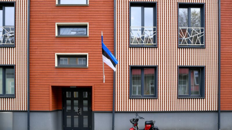 Medinės daugiabučių konstrukcijos grįžta į miestus: ką reiškia kryžmai sluoksniuota mediena ir hibridiniai pastatai