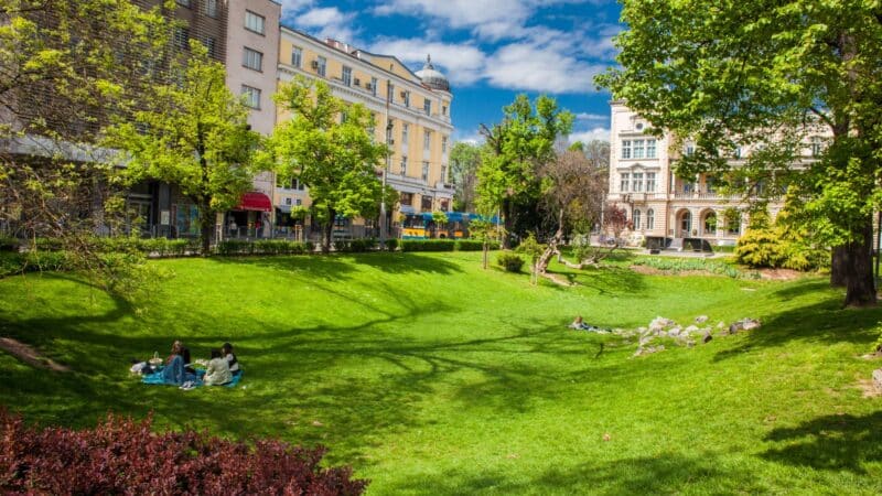 Popietė parke be telefono: penkios žemų sąnaudų idėjos kokybiškam laikui gryname ore