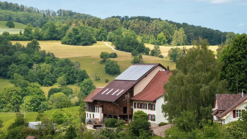Saulės elektrinės žemdirbiams: kaip ant stogų ir laukų įrengta energija keičia sąnaudas ir konkurencingumą