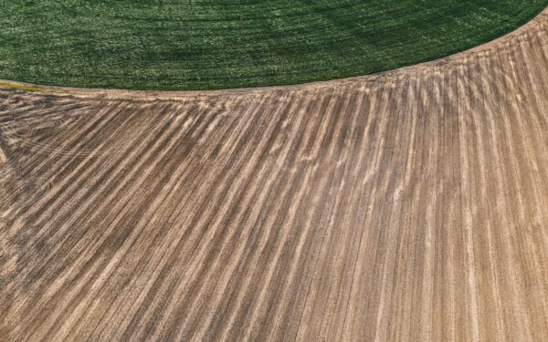 Sėjomaina po klimato permainų ir brangių išteklių: kaip protingas pasėlių kaitaliojimas stiprina ūkių atsparumą
