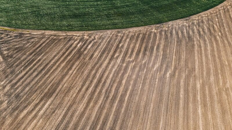 Sėjomaina po klimato permainų ir brangių išteklių: kaip protingas pasėlių kaitaliojimas stiprina ūkių atsparumą