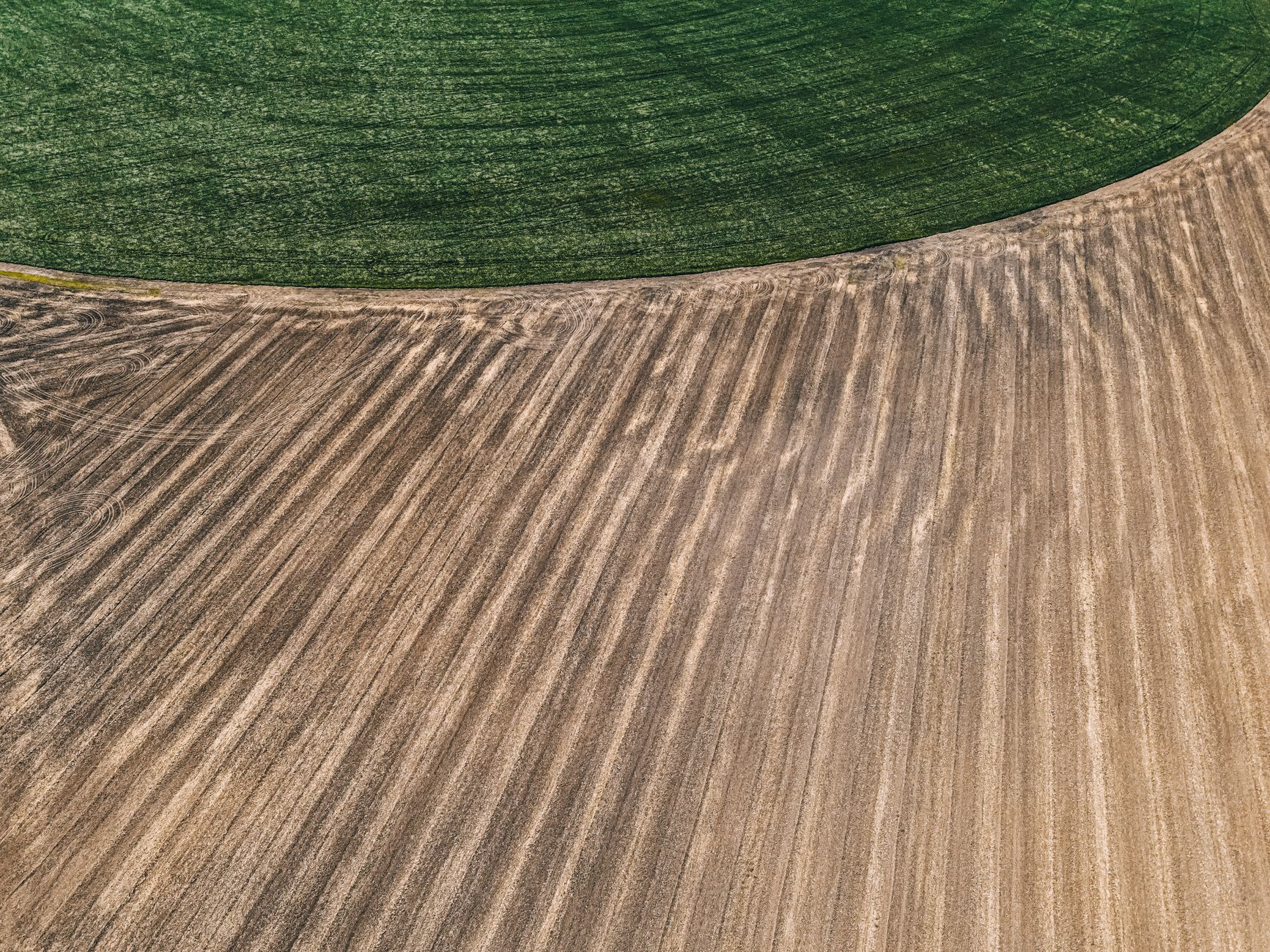 Sėjomaina po klimato permainų ir brangių išteklių: kaip protingas pasėlių kaitaliojimas stiprina ūkių atsparumą