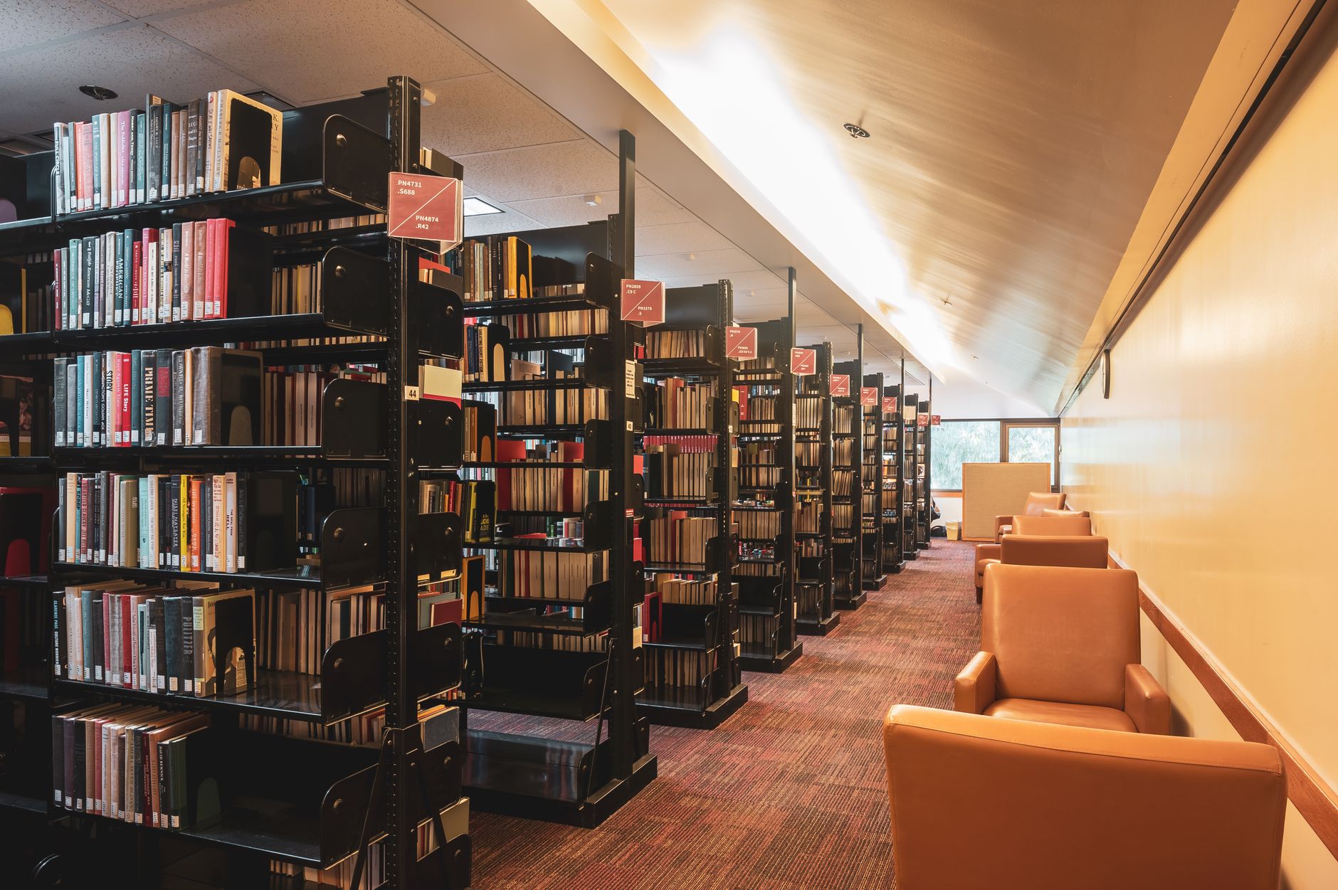 Šeštadienis bibliotekoje: kaip viešosios bibliotekos gali tapti netikėtu ir turiningu laisvalaikiu visai šeimai
