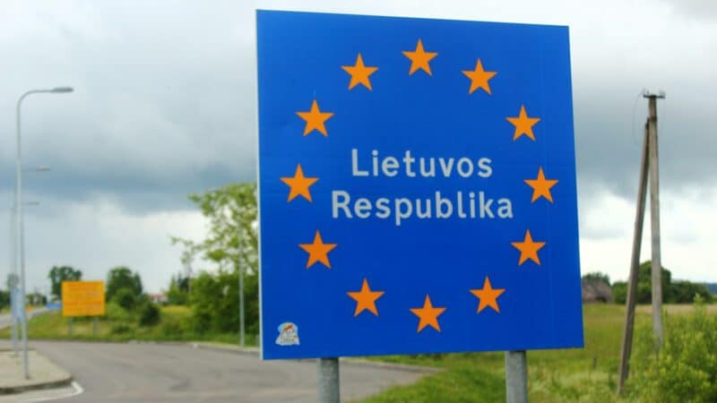 Dviguba pilietybė po referendumo nesėkmės: kokių sprendimų dar galima ieškoti Lietuvoje