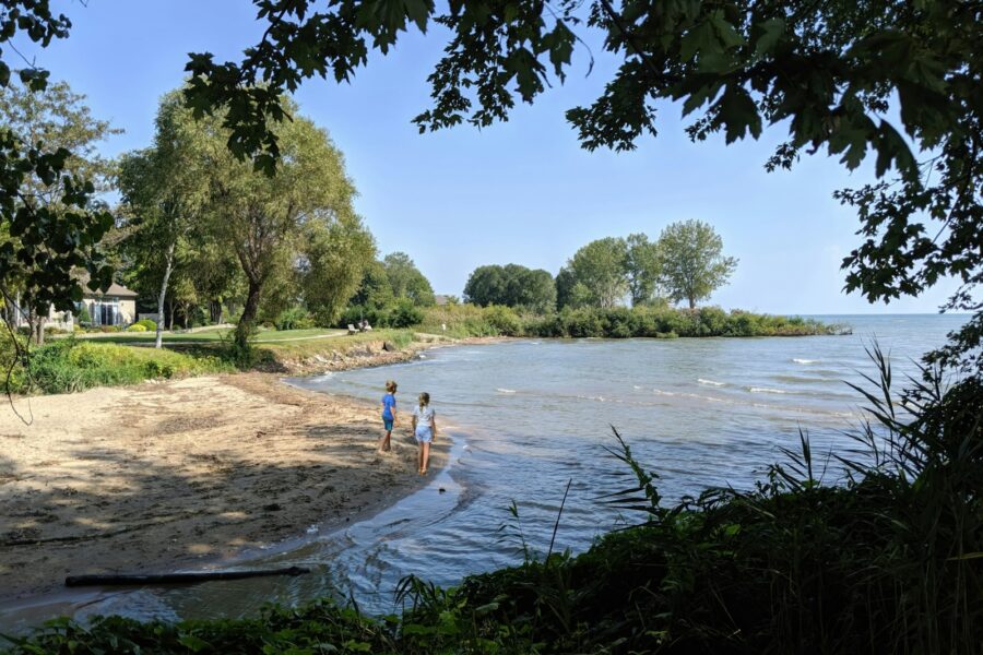 Pagrindinė iliustracija