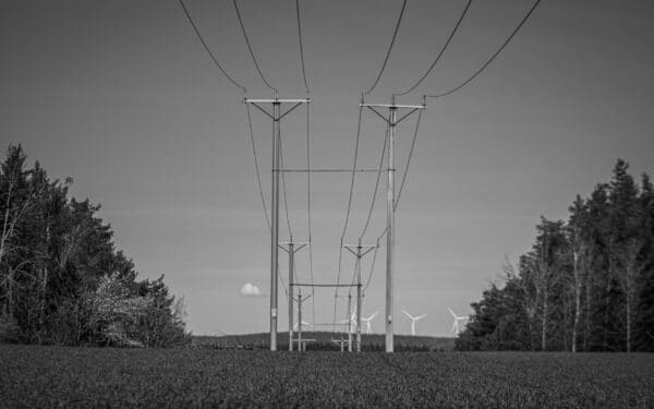 Kaip vėjo parkai keičia elektros kainų kraštovaizdį: kam naudinga daugiau vėjo generacijos Lietuvoje