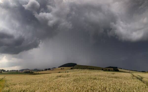 Klimato rizika ūkininkams: kaip pasėlių draudimas padeda stabilizuoti pajamas ir galutines kainas