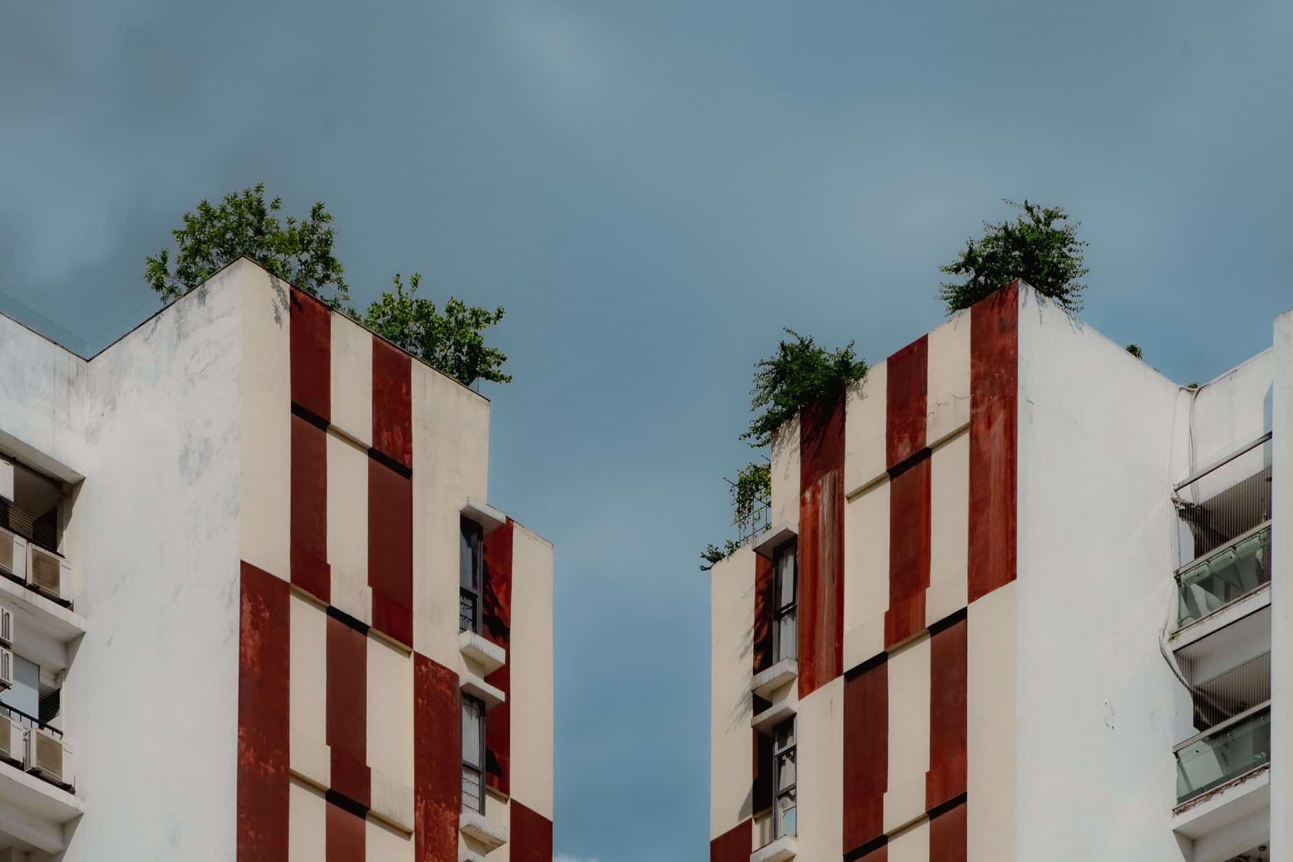 Miesto sodai ant stogų ir terasų: kaip papildoma žalia erdvė veikia NT vertę ir kasdienes išlaidas