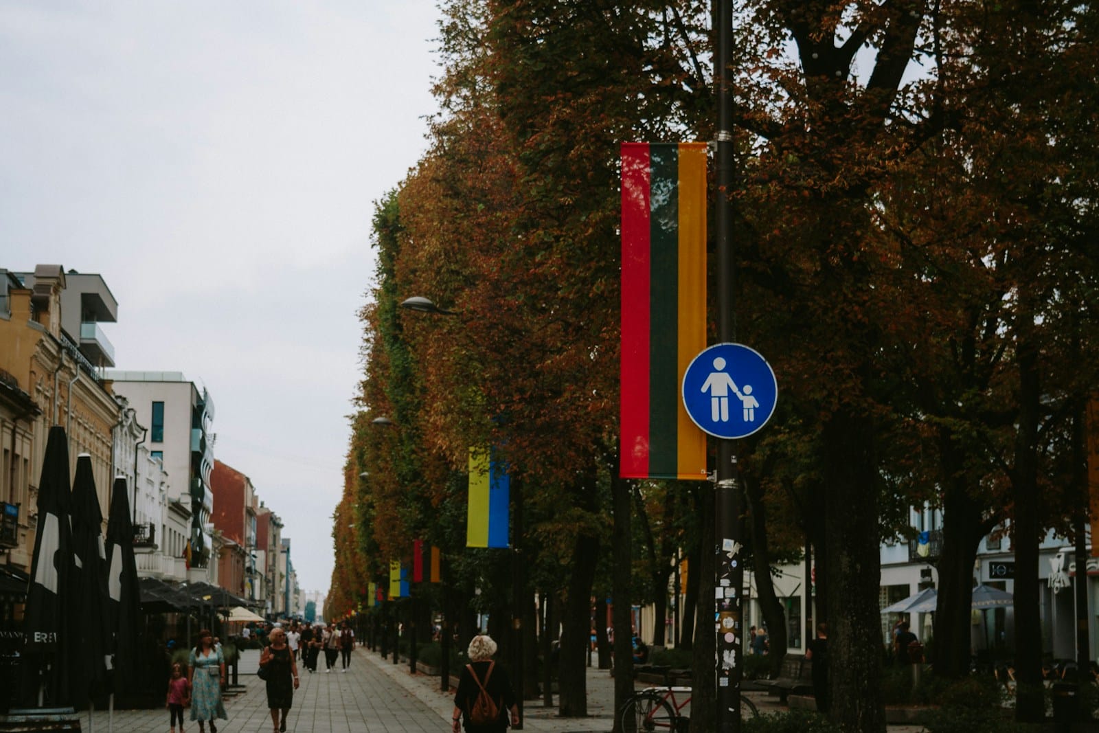 Naujas politinių kampanijų skaidrumo kursas: kaip privalomi reklamos ataskaitų duomenys gali keisti rinkimų kovą