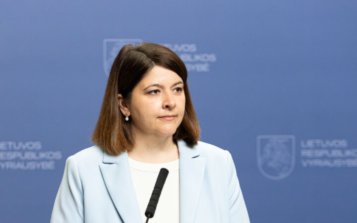 MRU: kitą savaitę darbą pradės tyrimo grupė, nagrinėsianti skundą dėl Skaistės disertacijos