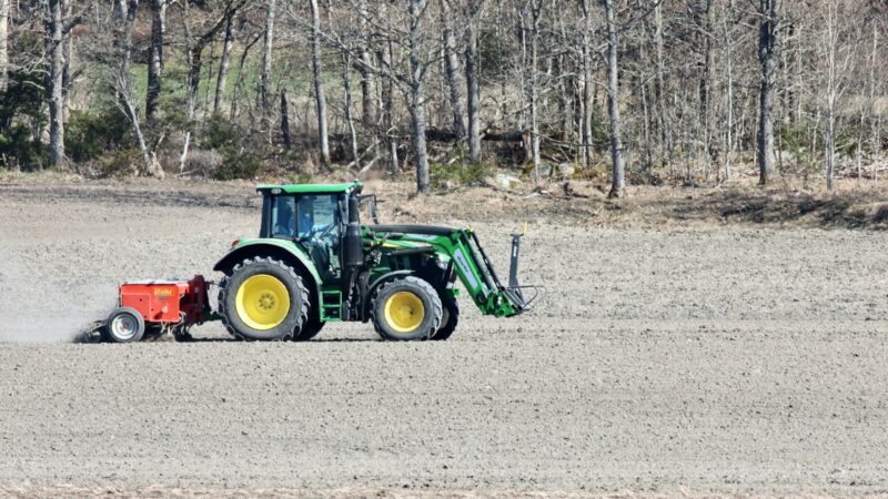 Trąšų kainų šuoliai ir nuosmukiai: kaip planuoti ūkio išlaidas ir derlių nepaisant rinkos bangavimų