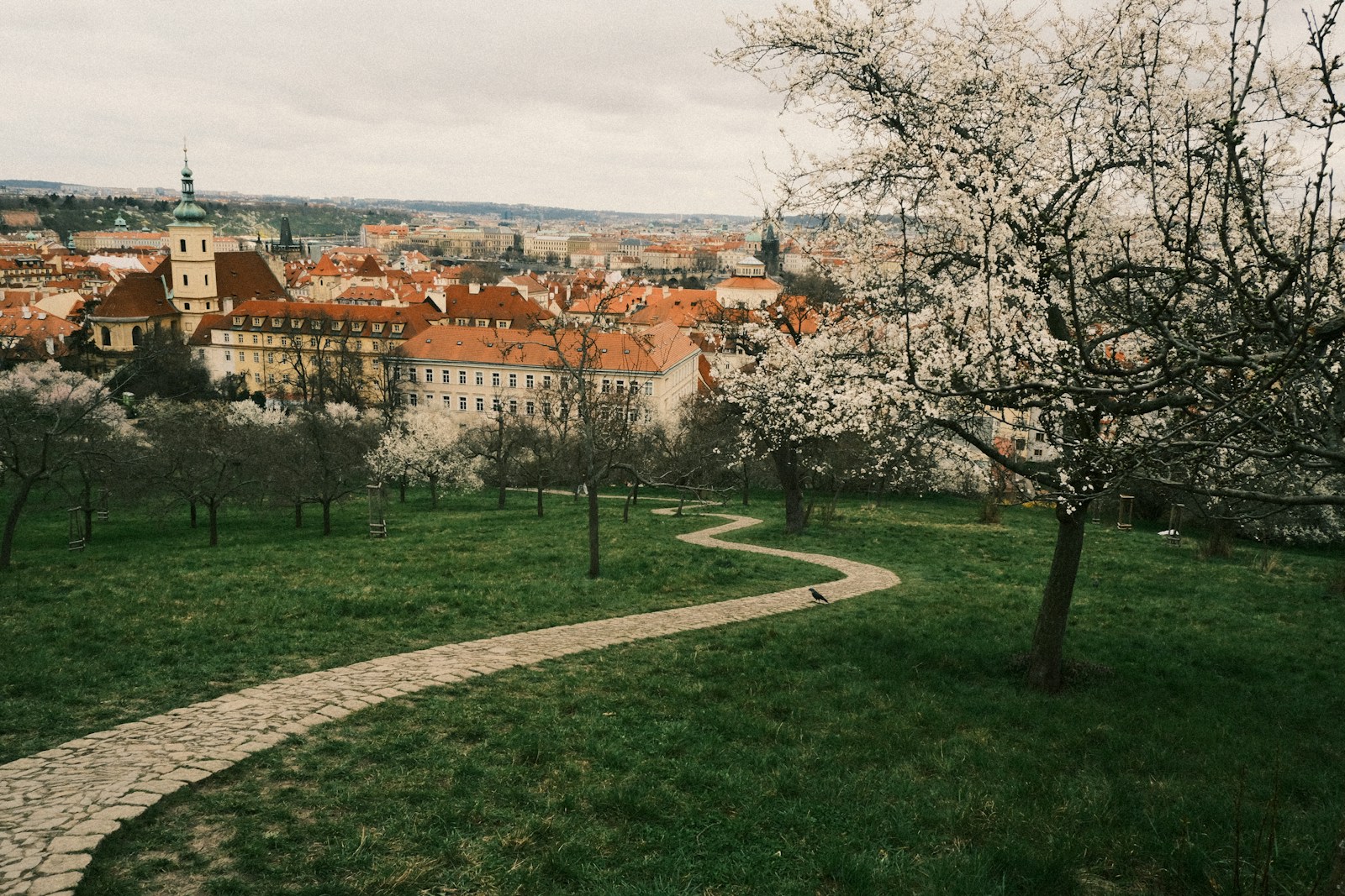 Teminė iliustracija