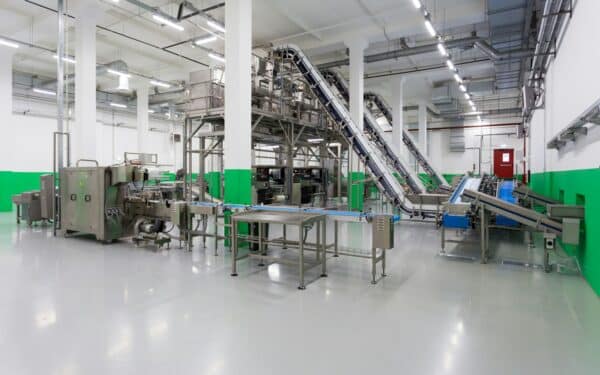 Vidutinė maisto perdirbimo įmonė perstato gamybą į augalinių produktų liniją: ko tai reikalauja iš vadovų ir darbuotojų