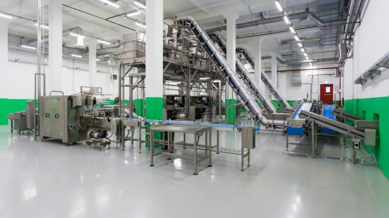 Vidutinė maisto perdirbimo įmonė perstato gamybą į augalinių produktų liniją: ko tai reikalauja iš vadovų ir darbuotojų
